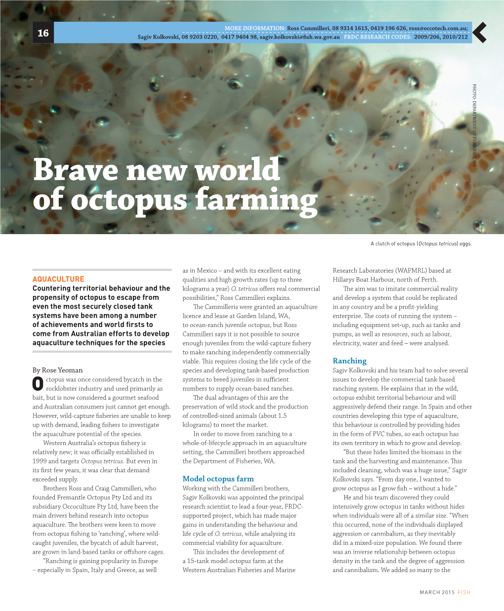 Octopus Farming