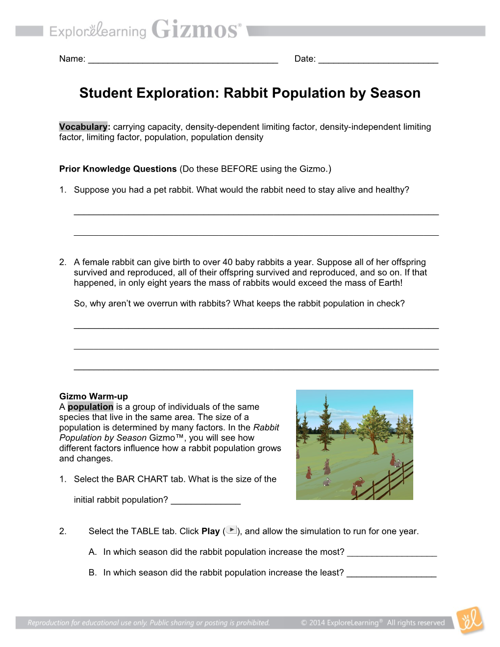 Rabbit Population by Season