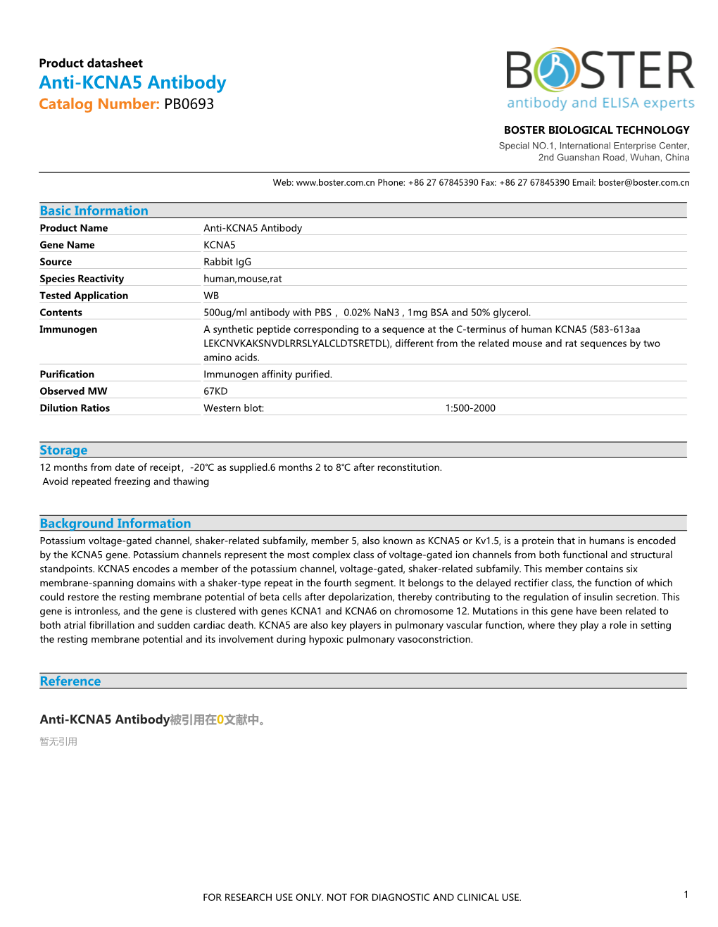 Datasheet PB0693 Anti-KCNA5 Antibody