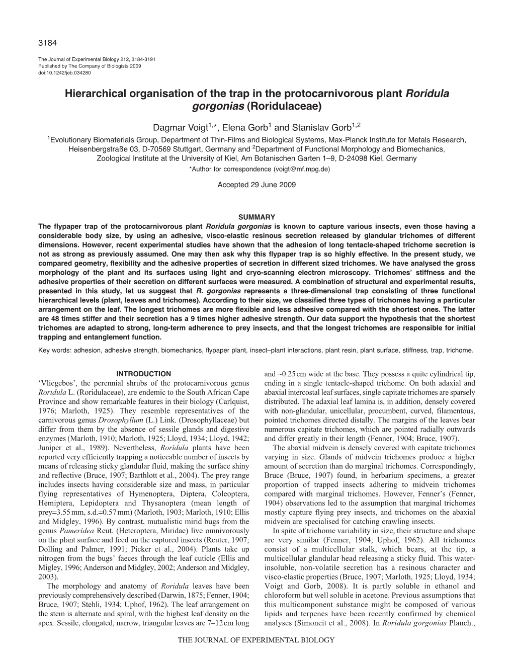 Hierarchical Organisation of the Trap in the Protocarnivorous Plant Roridula Gorgonias (Roridulaceae)