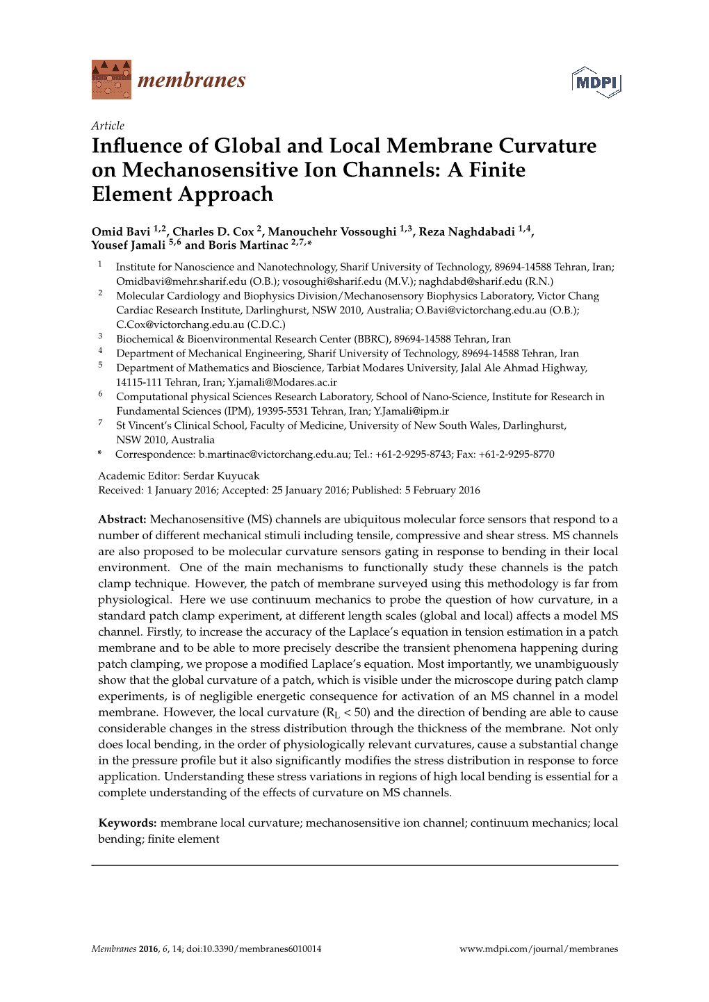 Influence of Global and Local Membrane