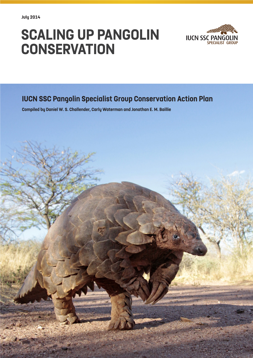 Scaling up Pangolin Conservation