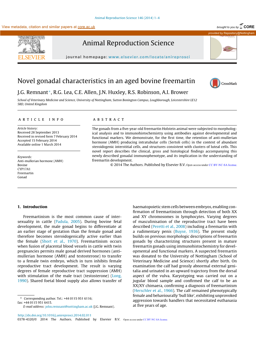 Novel Gonadal Characteristics in an Aged Bovine Freemartin