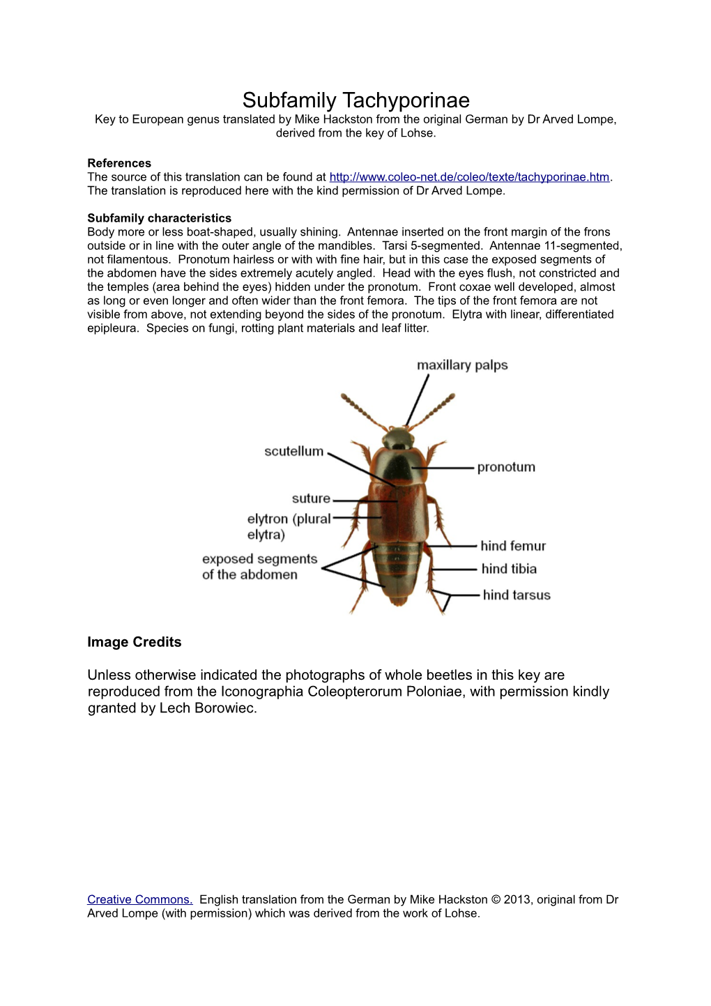 Subfamily Tachyporinae Key to European Genus Translated by Mike Hackston from the Original German by Dr Arved Lompe, Derived from the Key of Lohse