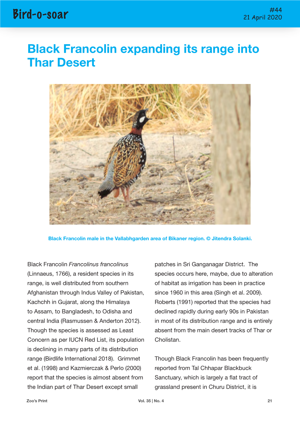 Bird-O-Soar Black Francolin Expanding Its Range Into Thar Desert