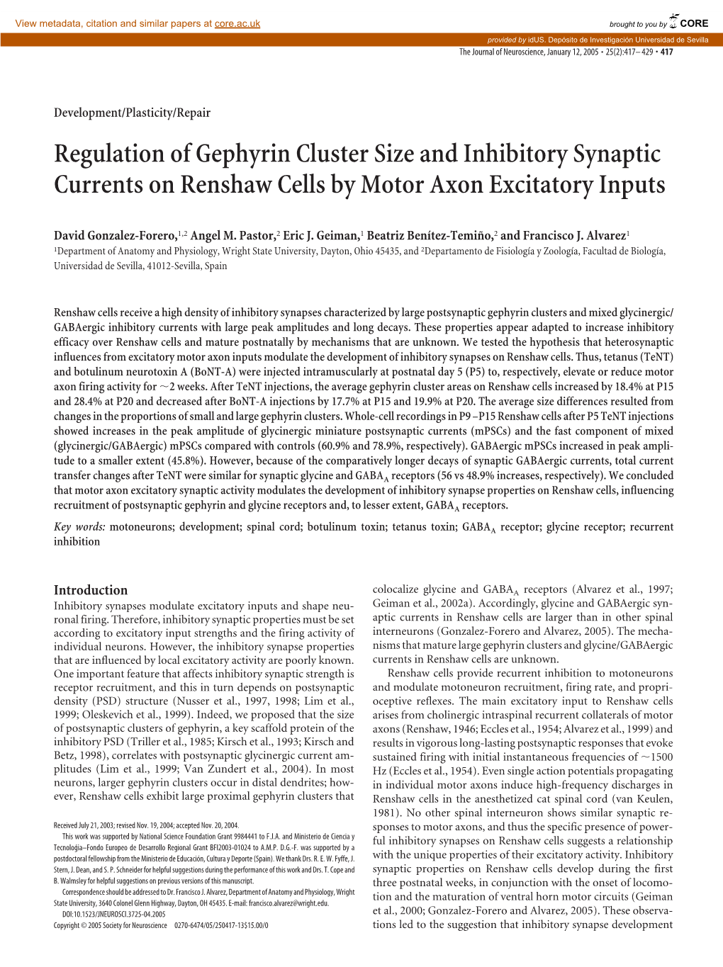 Regulation of Gephyrin Cluster Size and Inhibitory Synaptic Currents on Renshaw Cells by Motor Axon Excitatory Inputs