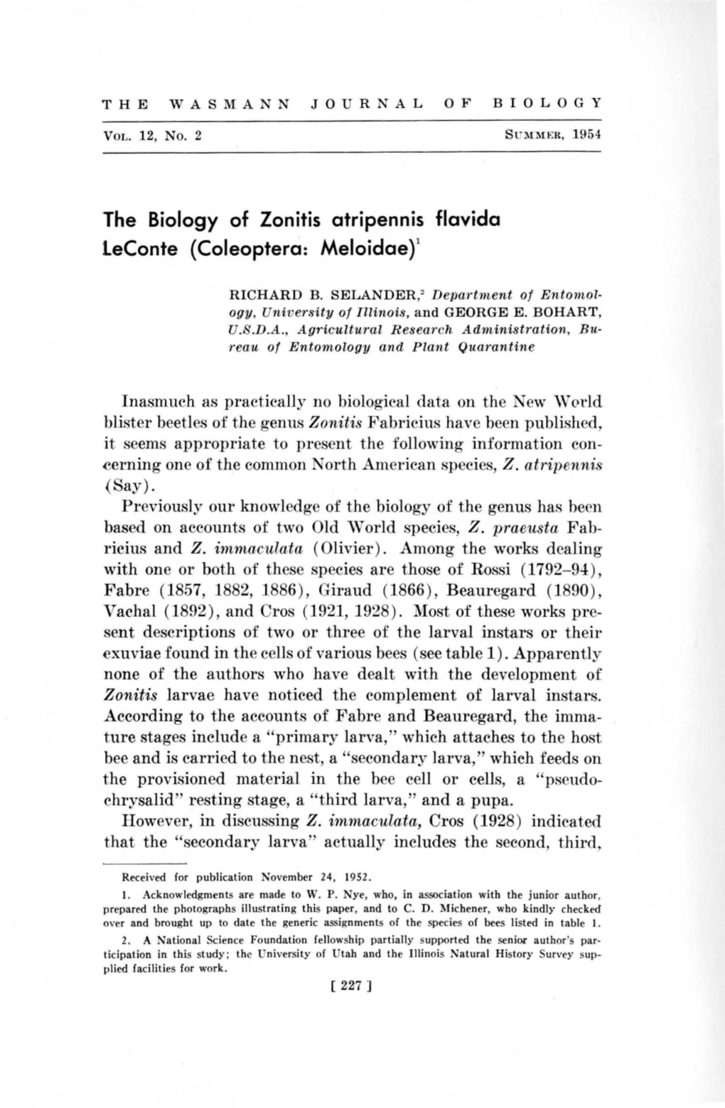 The Biology of Zonitis Atripennis Flavida Leconte (Coleoptera: Meloidae)'