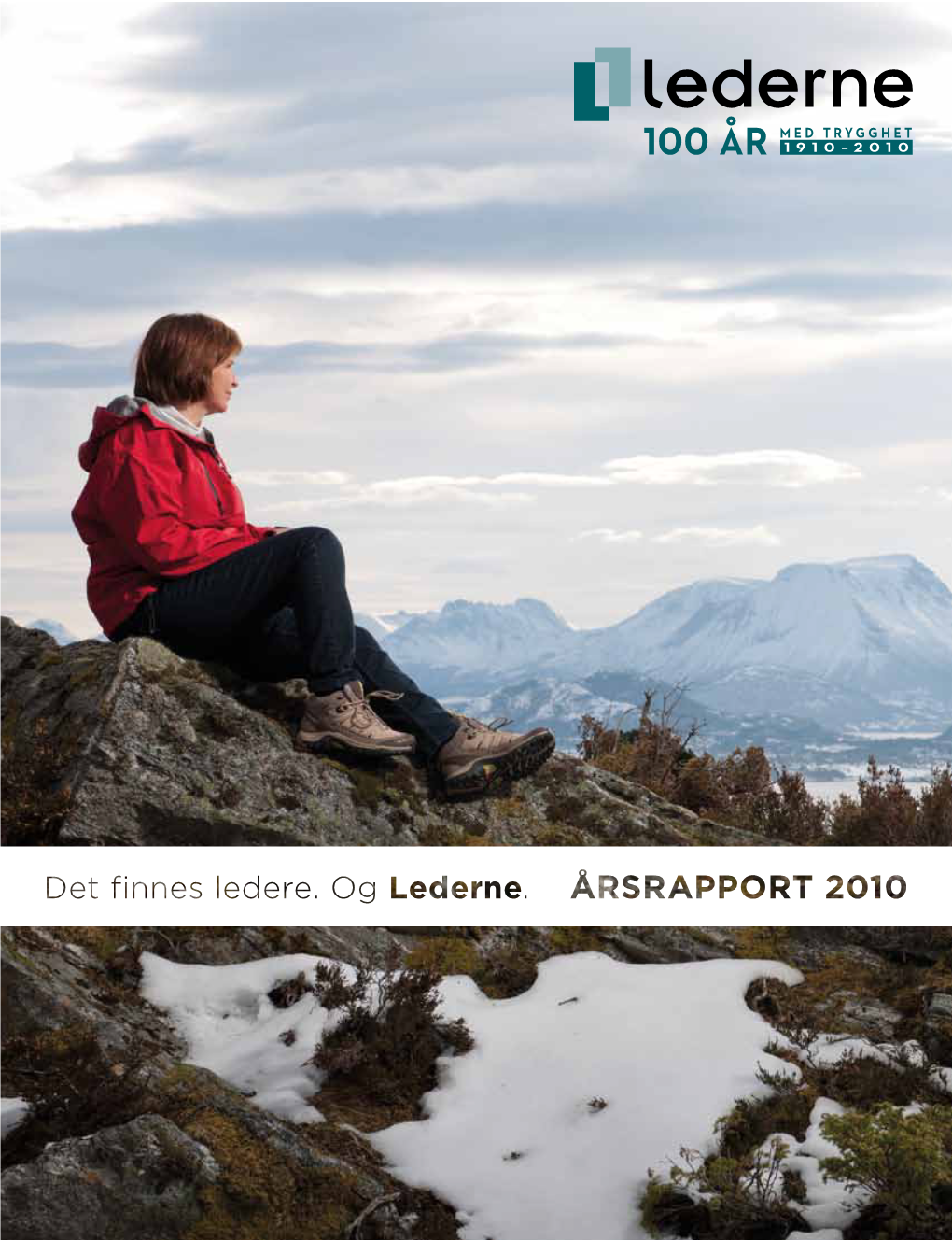 Ledernes Årsrapport 2010