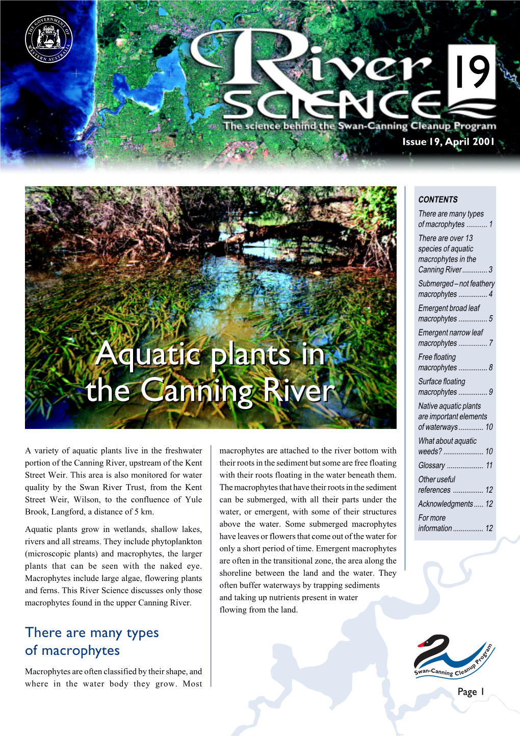 Aquatic Plants in the Canning River