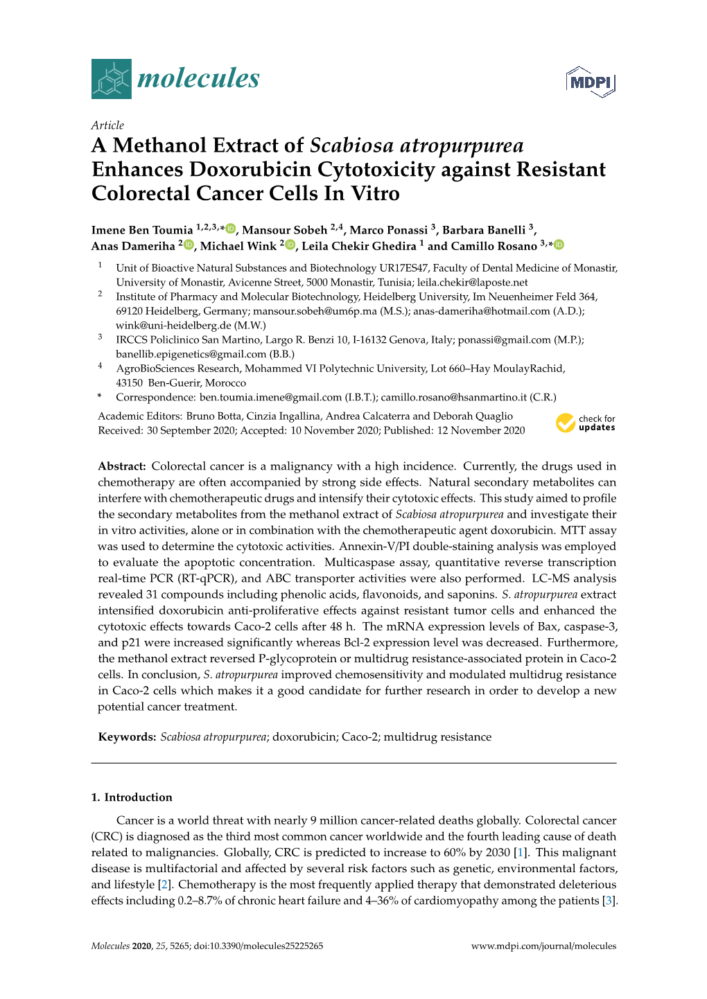 A Methanol Extract of Scabiosa Atropurpurea Enhances Doxorubicin Cytotoxicity Against Resistant Colorectal Cancer Cells in Vitro