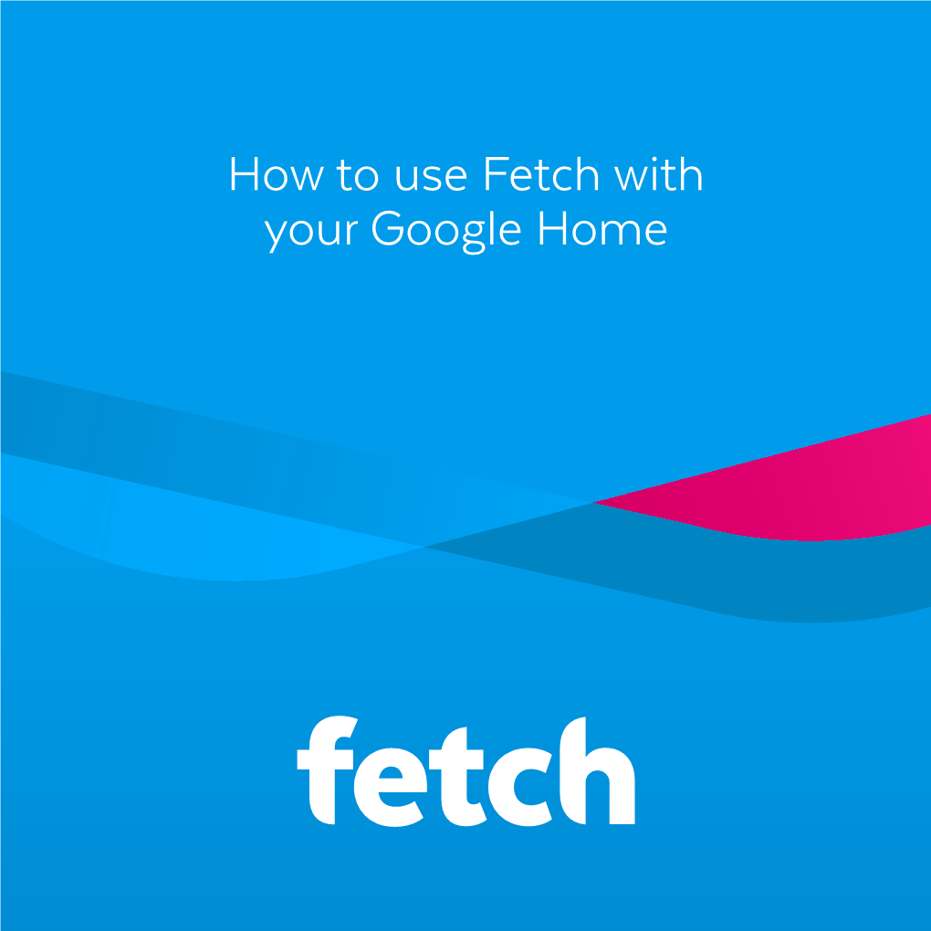 How to Use Fetch with Your Google Home Hat's Inside