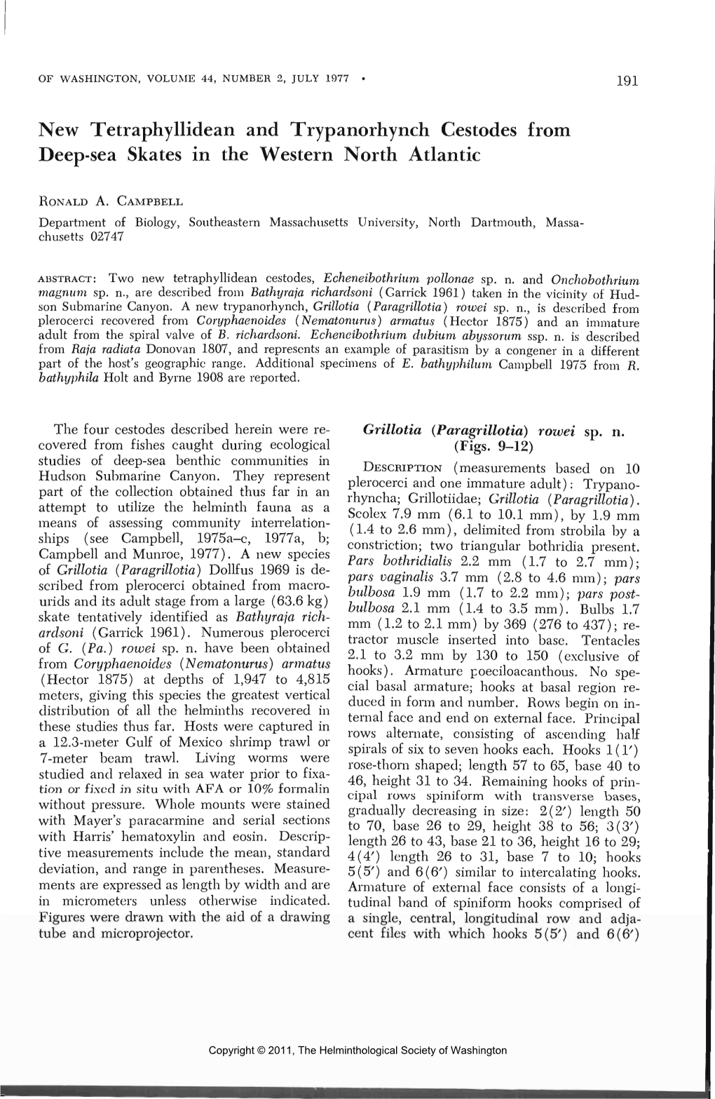 New Tetraphyllidean and Trypanorhynch Cestodes from Deep-Sea Skates in the Western North Atlantic