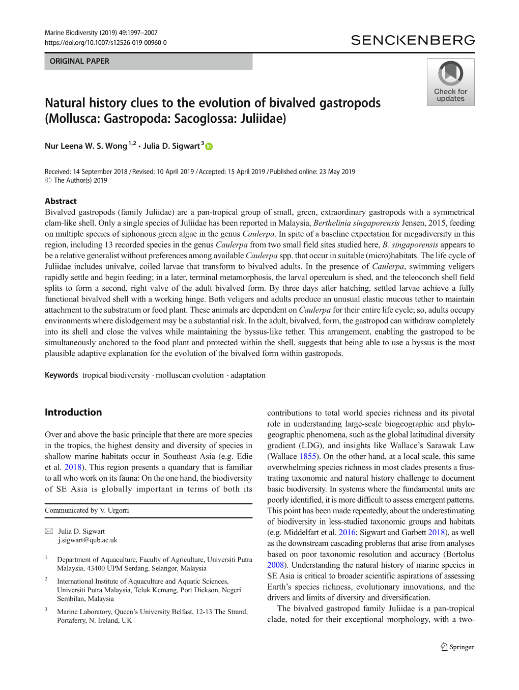 Natural History Clues to the Evolution of Bivalved Gastropods (Mollusca: Gastropoda: Sacoglossa: Juliidae)