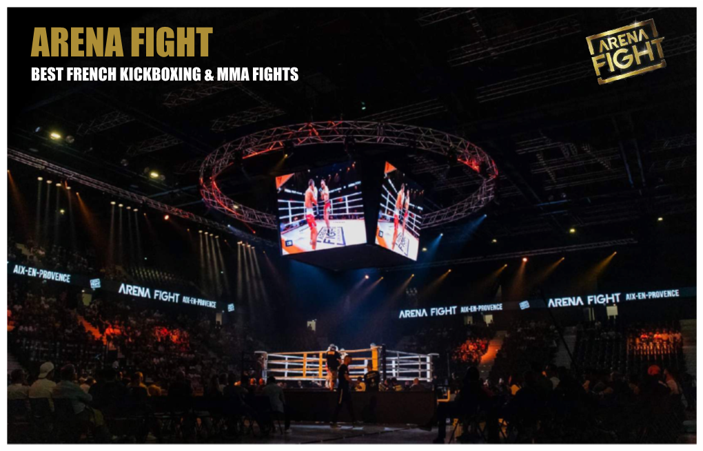 Best French Kickboxing & Mma Fights