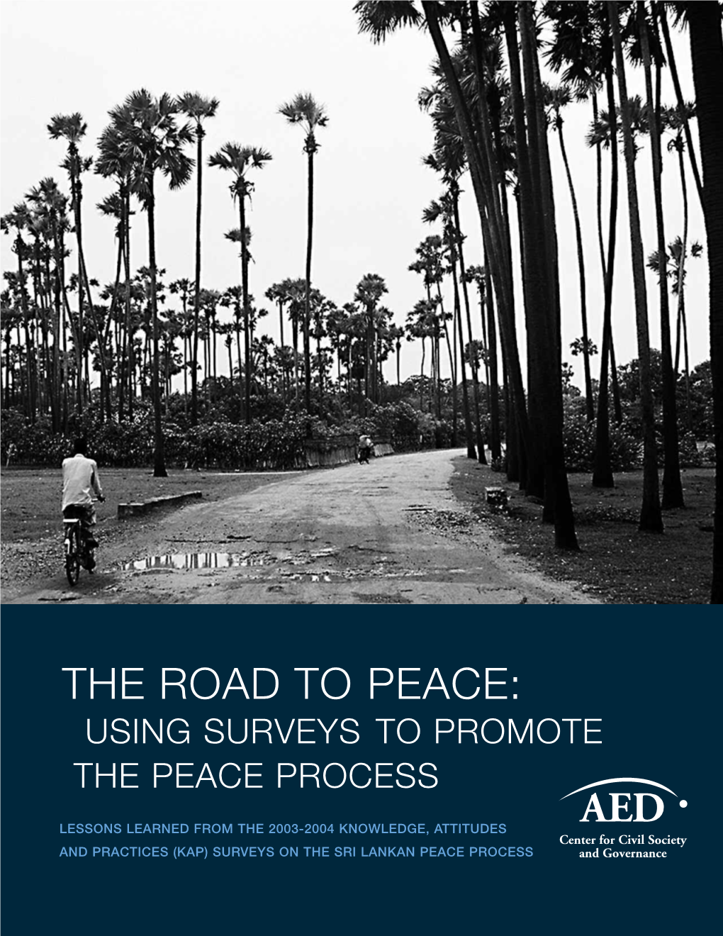 The Road to Peace: Using Surveys to Promote the Peace Process