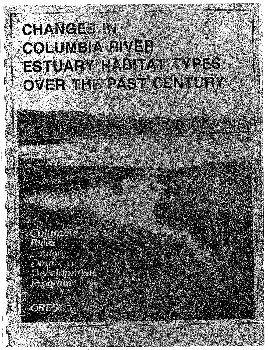 Changes in Columbia River Estuary Habitat Types Over the Past Century