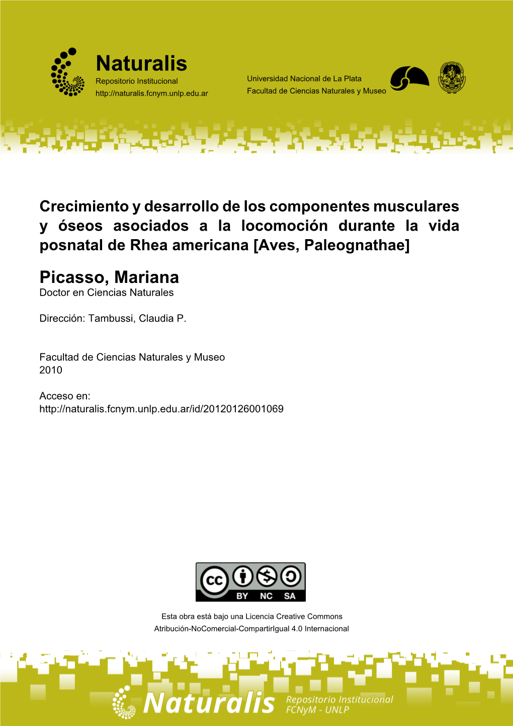 Aves, Paleognathae] Picasso, Mariana Doctor En Ciencias Naturales