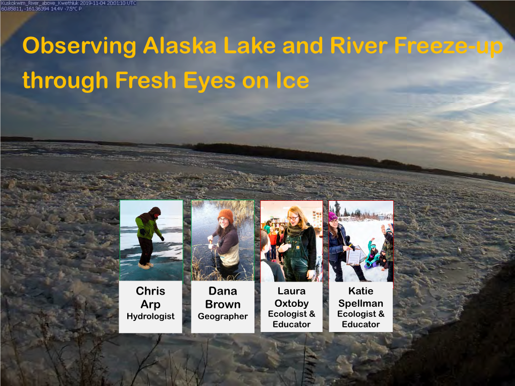 Observing Alaska Lake and River Freeze-Up Through Fresh Eyes on Ice