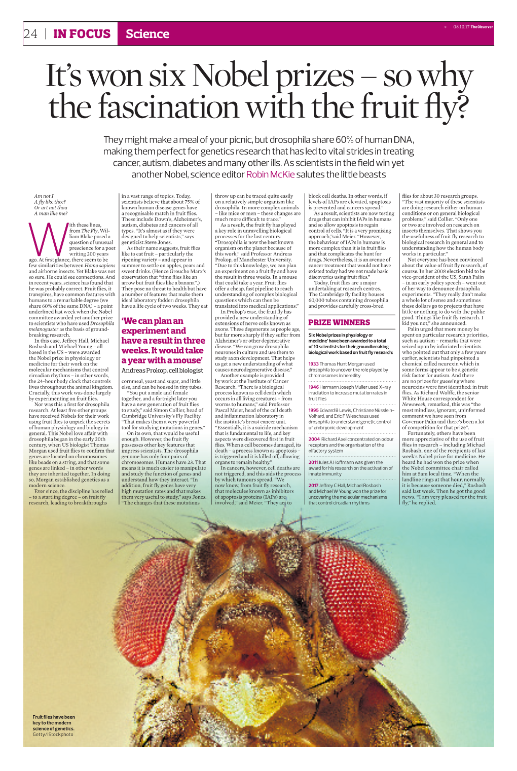 It's Won Six Nobel Prizes – So Why the Fascination with the Fruit Fly?