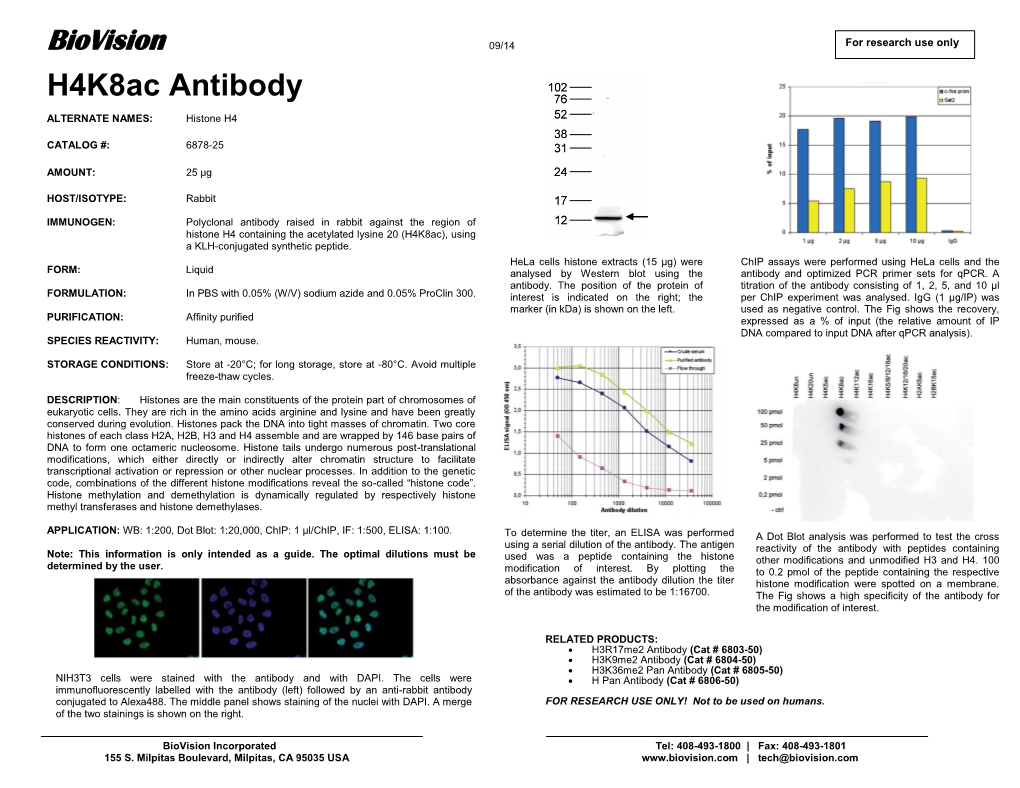 H4k8ac Antibody