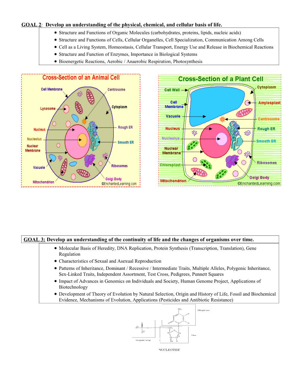 Biology EOC Review s1