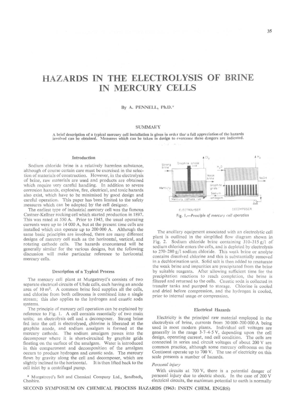 Hazards in the Electrolysis of Brine in Mercury Cells