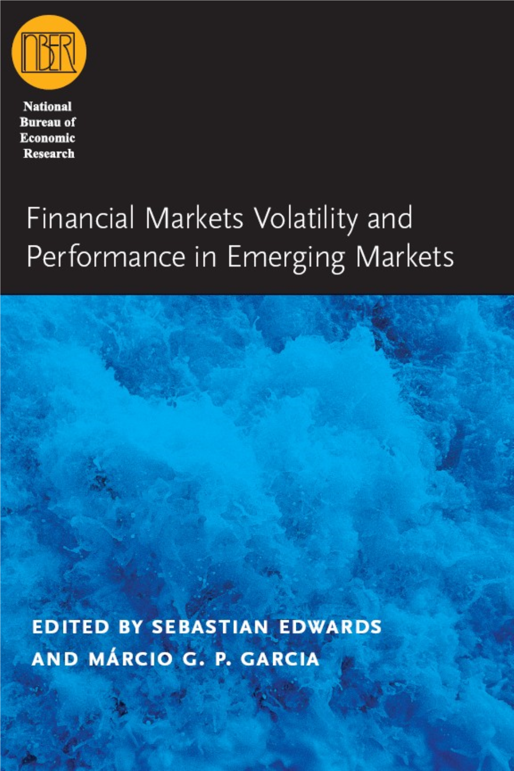 Financial Markets Volatility and Performance in Emerging Markets