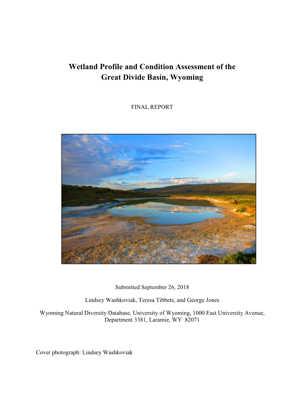 Wetland Profile and Condition Assessment of the Great Divide Basin, Wyoming