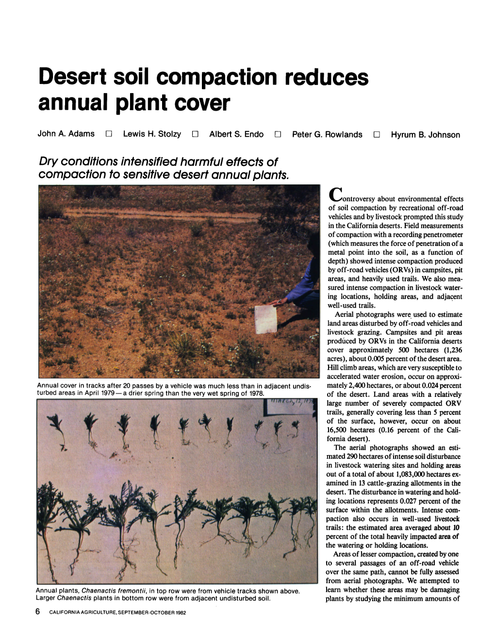 Desert Soil Compaction Reduces Annual Plant Cover