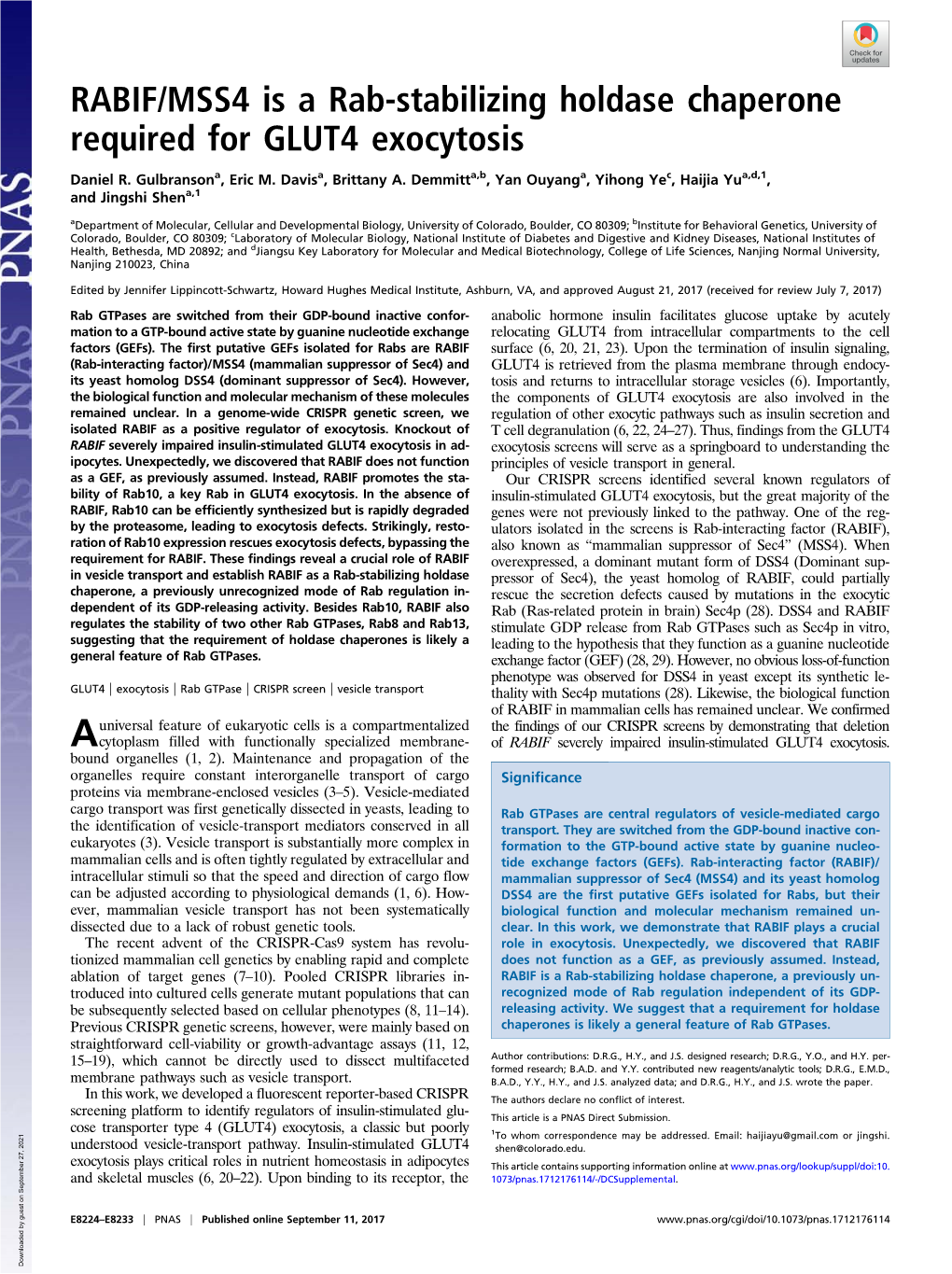 RABIF/MSS4 Is a Rab-Stabilizing Holdase Chaperone Required for GLUT4 Exocytosis