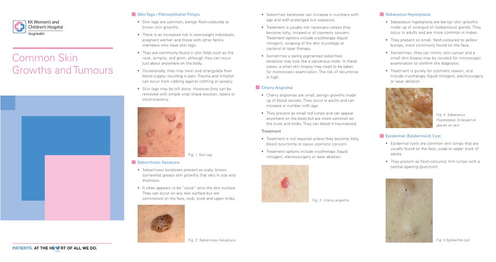 Common Skin Growths and Tumours