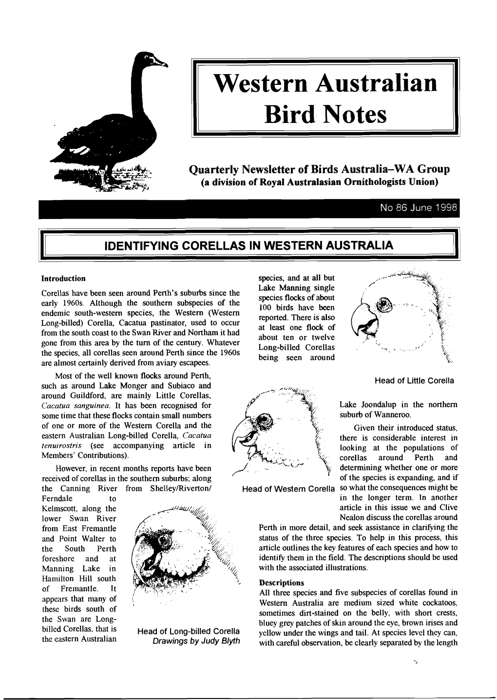 Western Australian Bird Notes