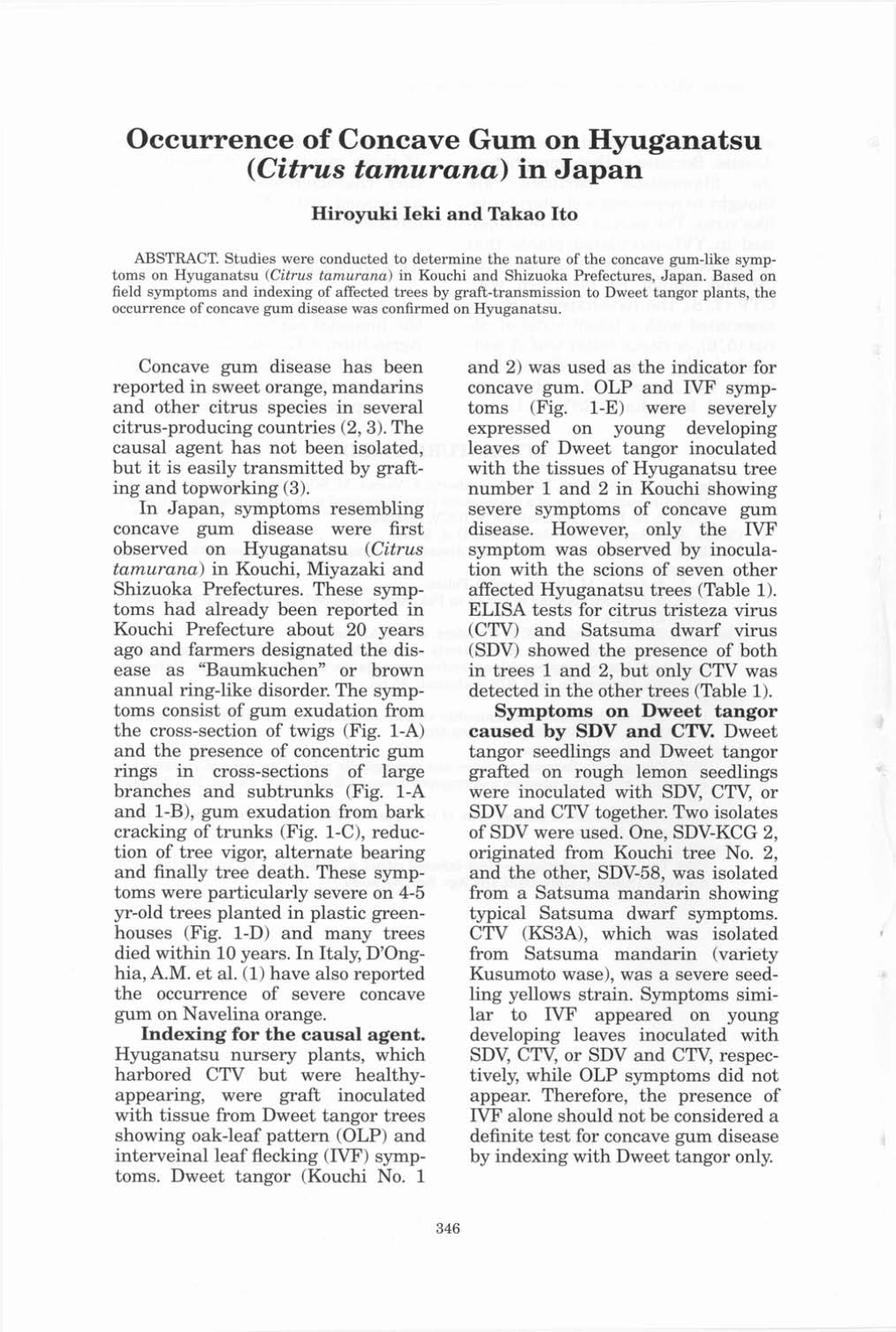 Occurrence of Concave Gum on Hyuganatsu (Citrus Tamurana) in Japan Hiroyuki Ieki and Takao Ito