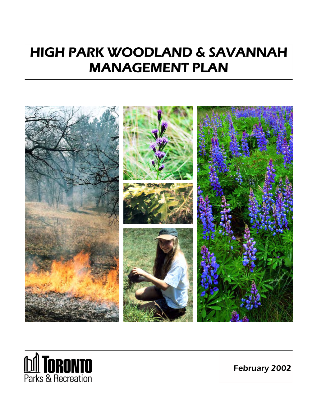 High Park Woodland & Savannah Management Plan, 2002