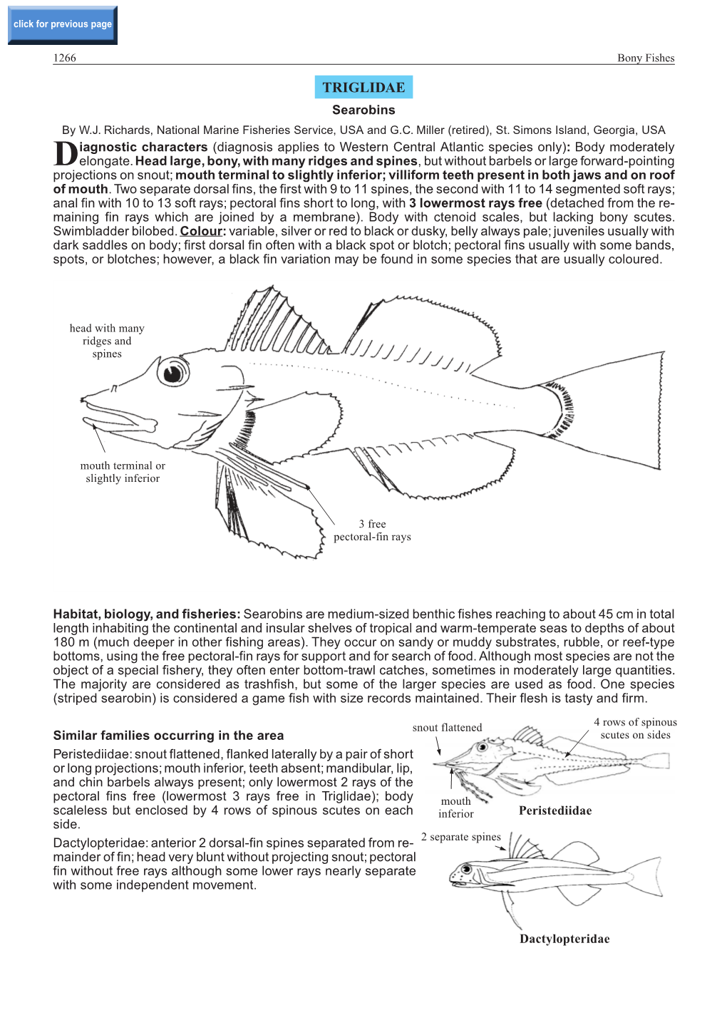 TRIGLIDAE Searobins by W.J