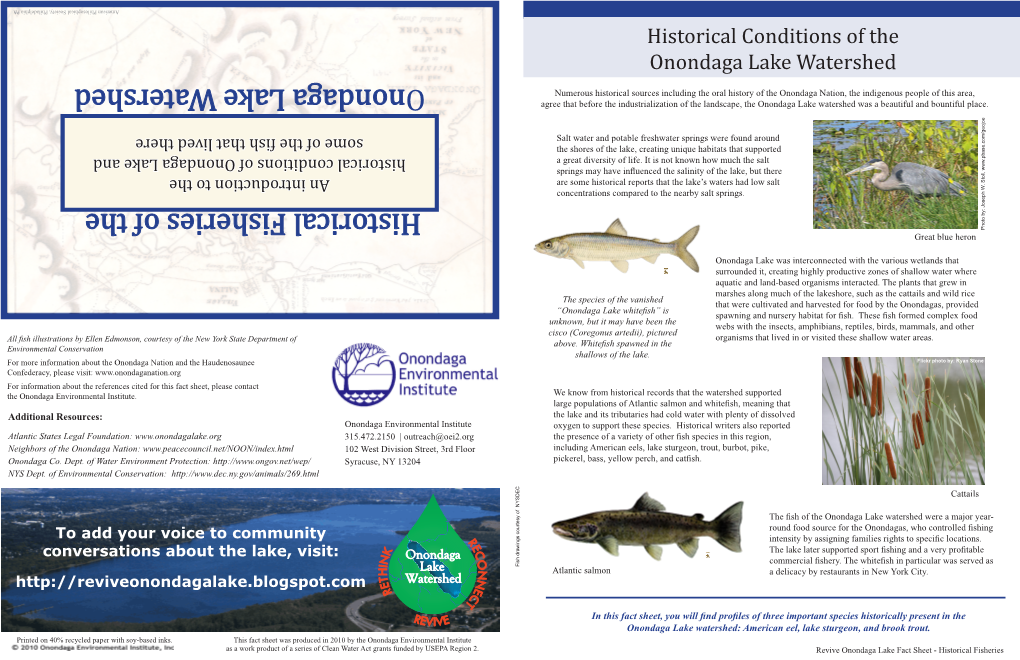 Onondaga Lake Watershed Historical Fisheries Of