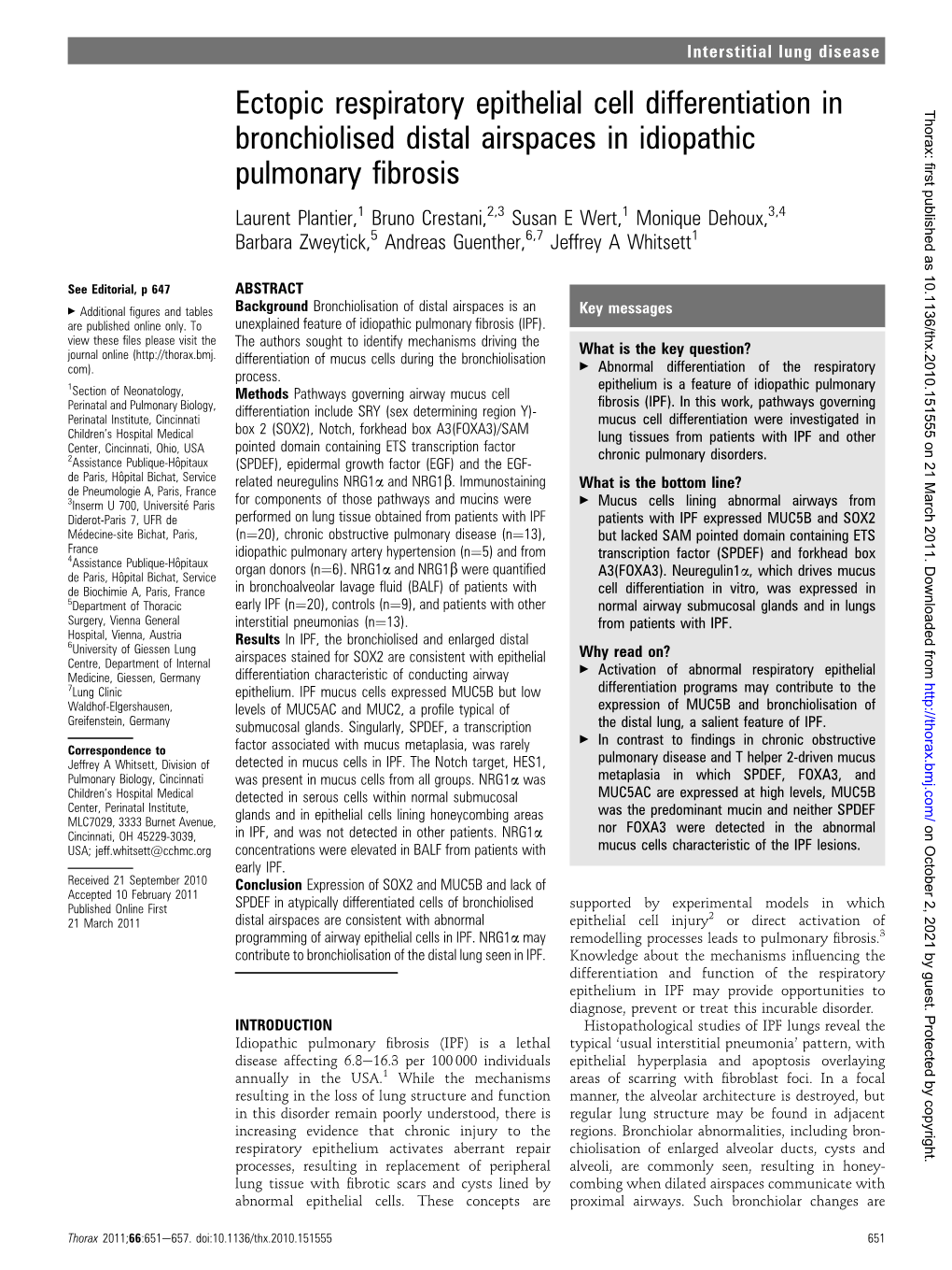 Ectopic Respiratory Epithelial Cell Differentiation in Bronchiolised