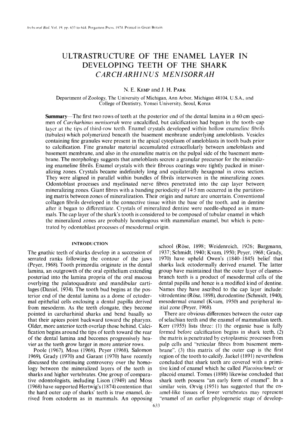 Ultrastructure of the Enamel Layer in Developing Teeth of the Shark Carcharhinus Menisorrah