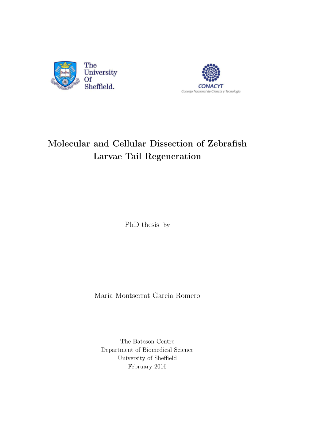 Molecular and Cellular Dissection of Zebrafish Larvae Tail Regeneration