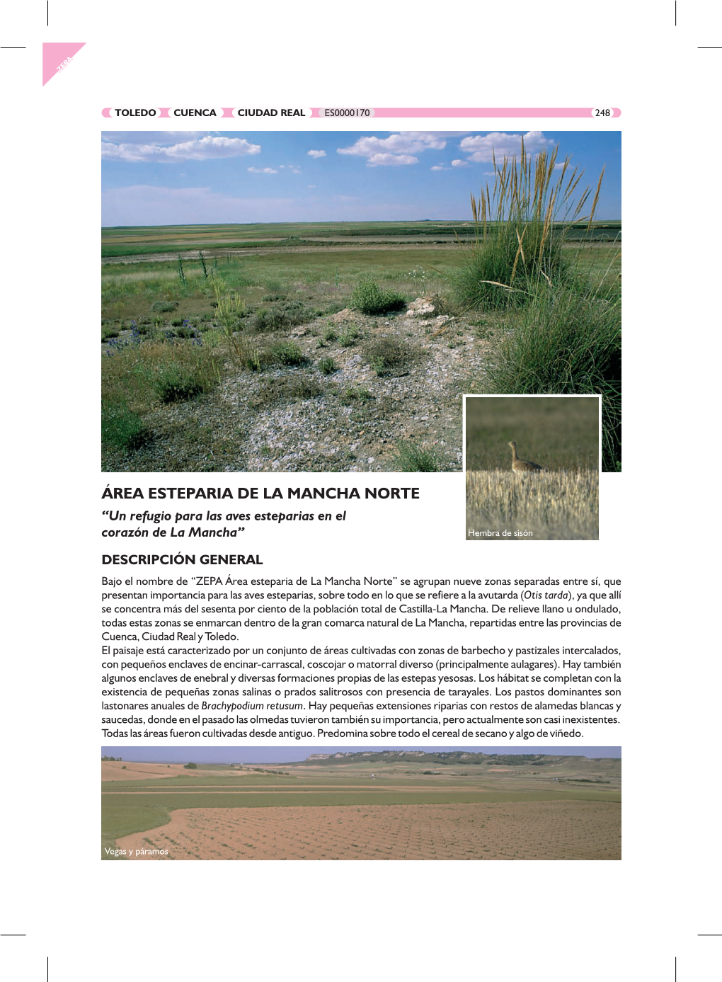 Ficha ZEPA Área Esteparia De La Mancha Norte