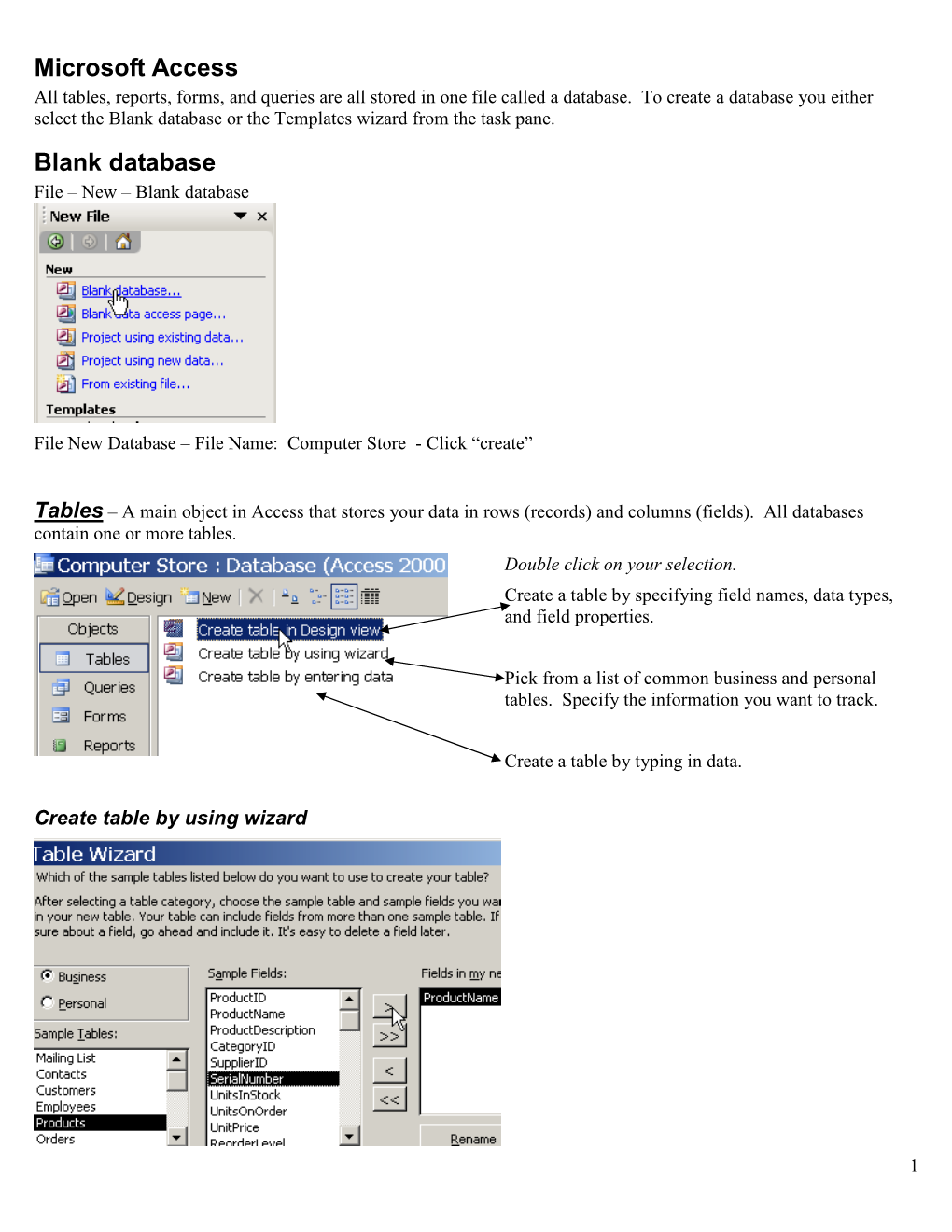 Microsoft Access Blank Database