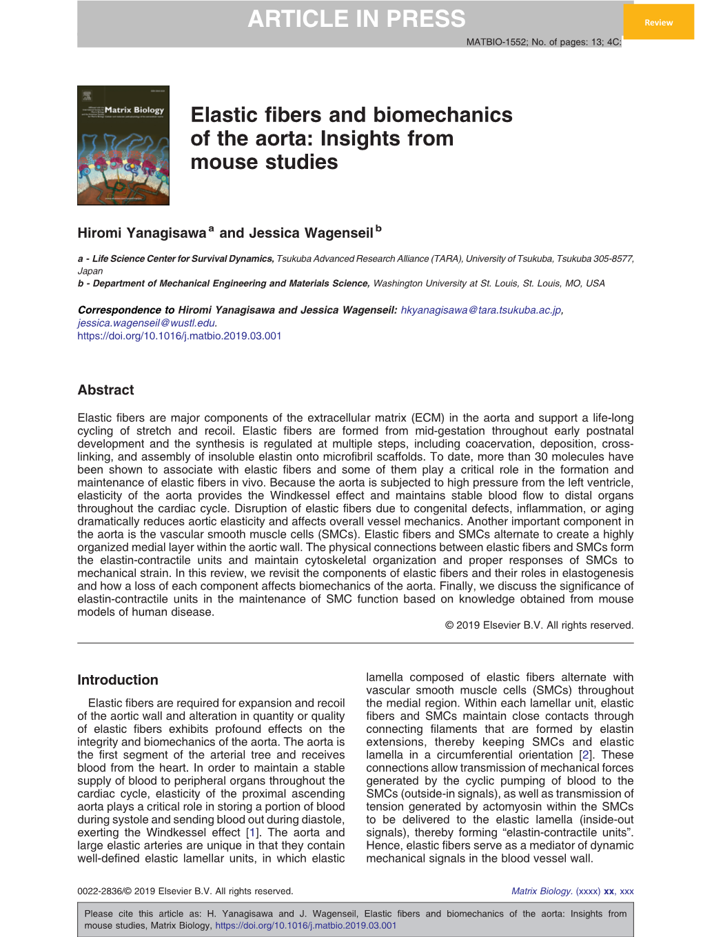 Elastic Fibers and Biomechanics of the Aorta: Insights from Mouse Studies