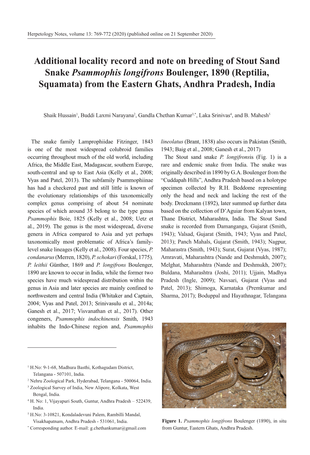 Additional Locality Record and Note on Breeding of Stout Sand Snake Psammophis Longifrons Boulenger, 1890