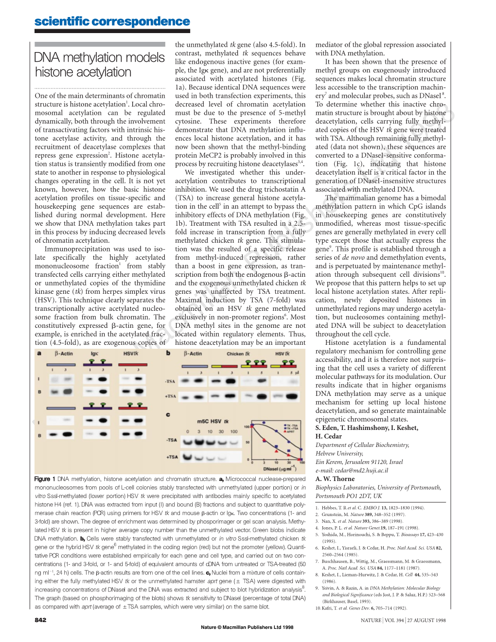 DNA Methylation Models Histone Acetylation