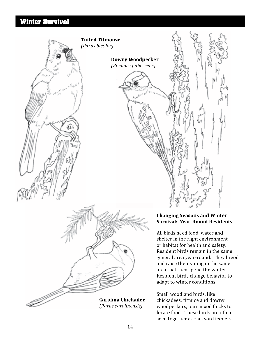 Page 14-17 Winter Survival