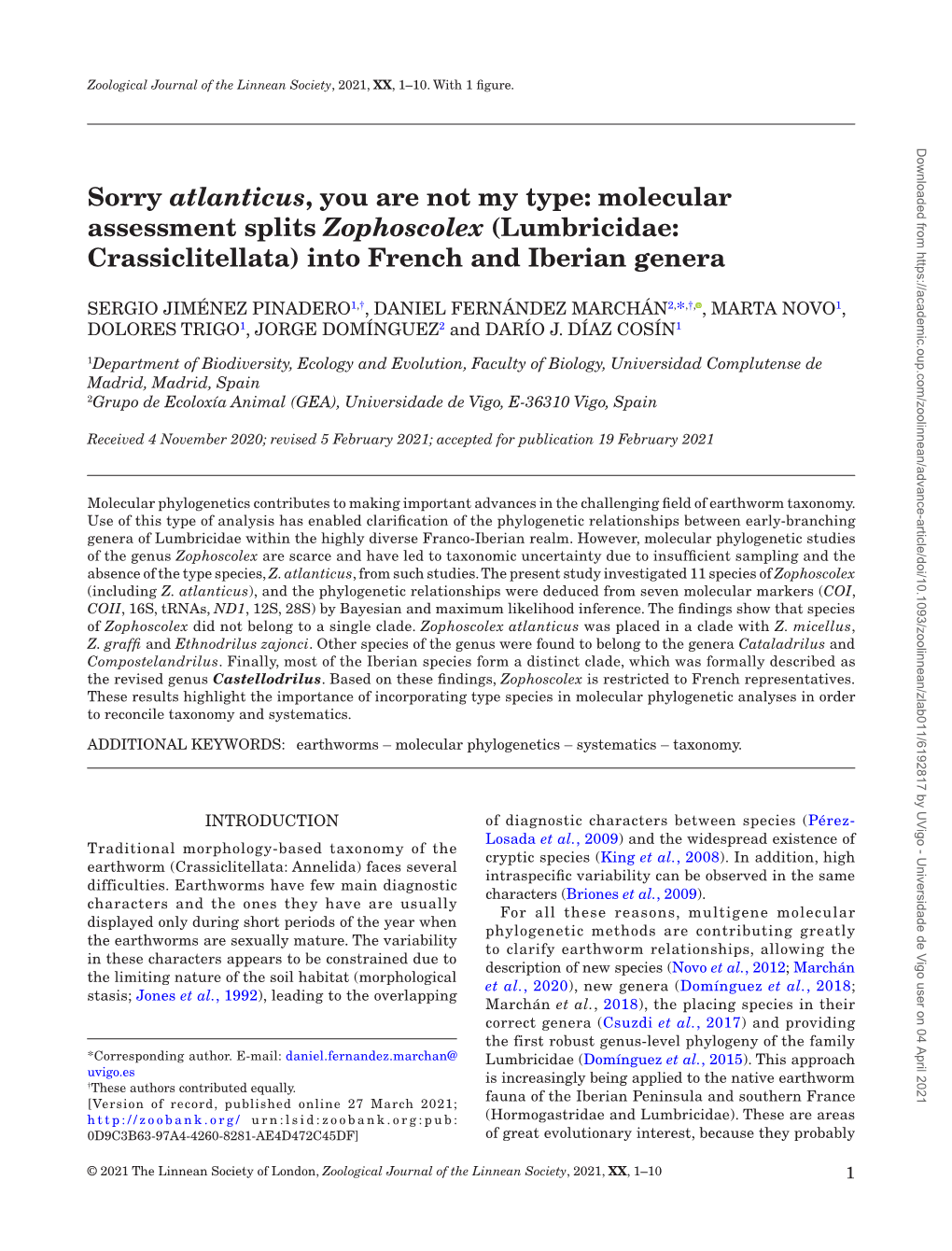 Sorry Atlanticus, You Are Not My Type: Molecular Assessment Splits Zophoscolex (Lumbricidae: Crassiclitellata) Into French and Iberian Genera