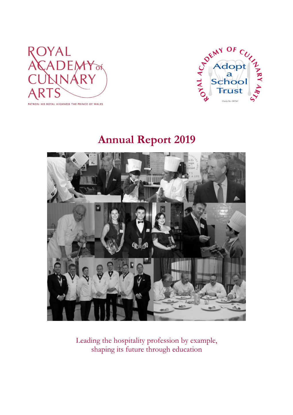 AGM Report 2019