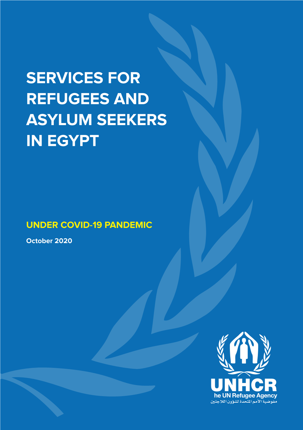 Services for Refugees and Asylum Seekers in Egypt