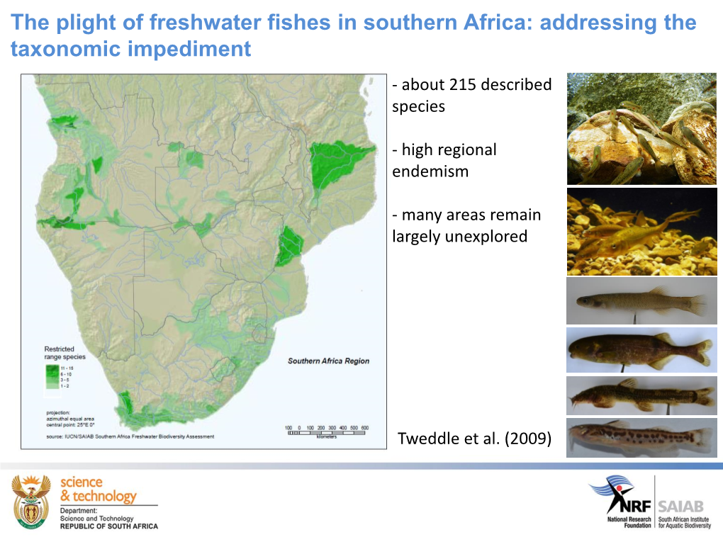 Freshwater Fishes in South Africa