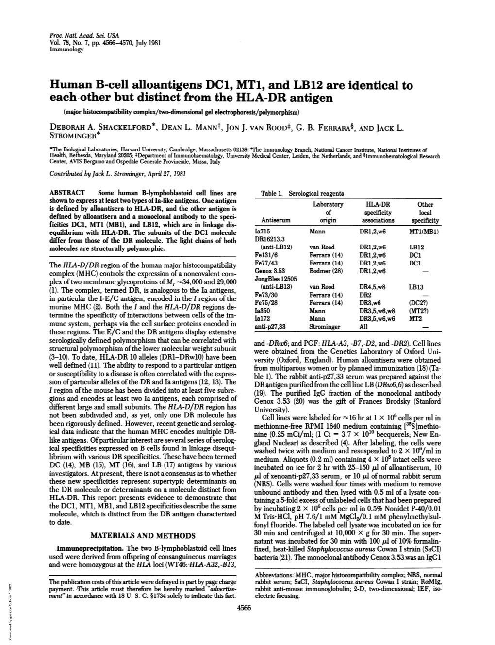 Human B-Cell Alloantigens DC1, MT1, and LB12 Are Identical to Each